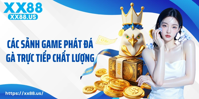 Các sảnh game phát đá gà trực tiếp chất lượng